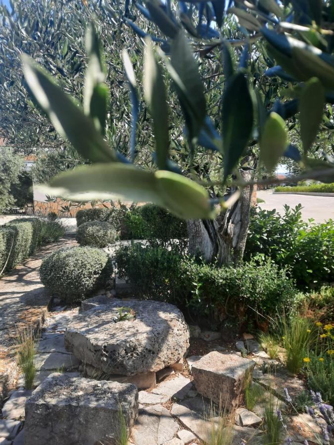 Ferienwohnung Pere Korčula Exterior foto