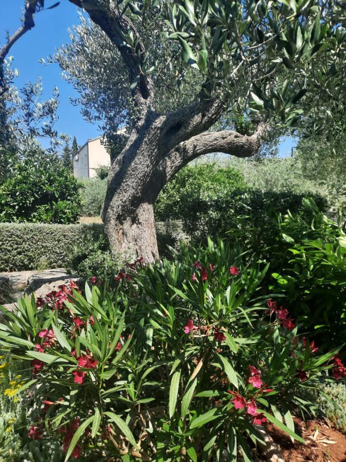 Ferienwohnung Pere Korčula Exterior foto